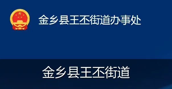 金乡县王丕街道