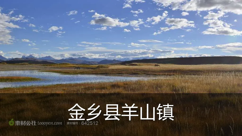 金乡县羊山镇